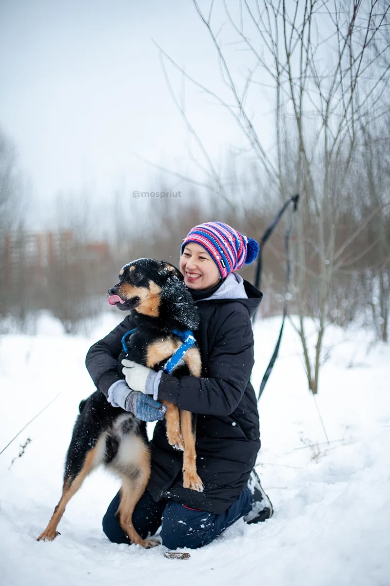 СОБАКА ЯШКА  из приюта Щербинка для бездомных животных, Москва и Московская область | mospriut