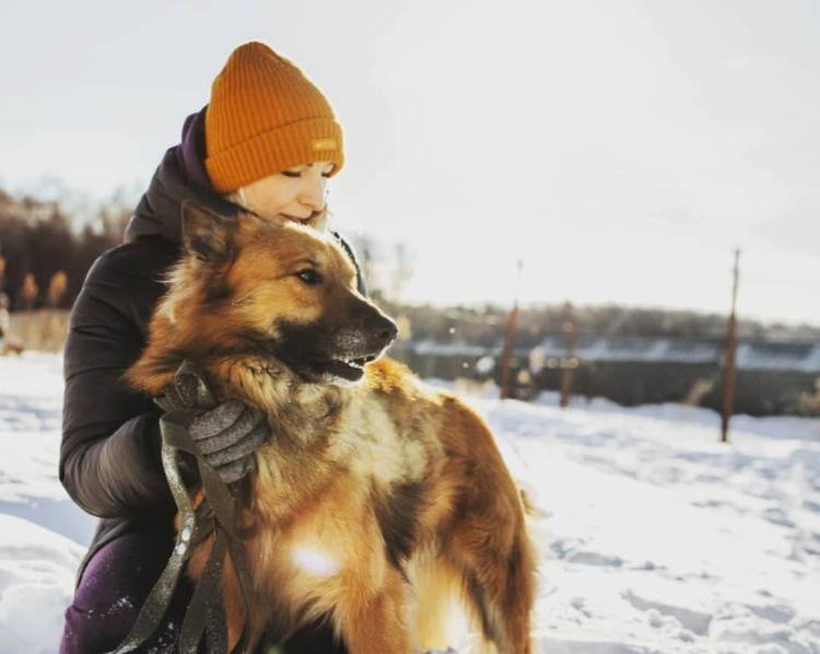 СОБАКА МИША  из приюта Щербинка для бездомных животных, Москва и Московская область | mospriut